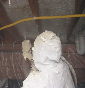 Santa Fe NM crawl space insulation